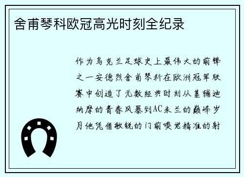 舍甫琴科欧冠高光时刻全纪录