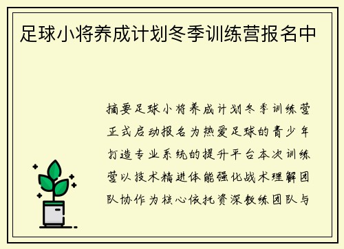 足球小将养成计划冬季训练营报名中