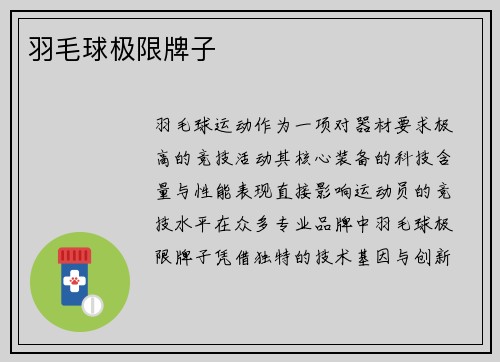 羽毛球极限牌子